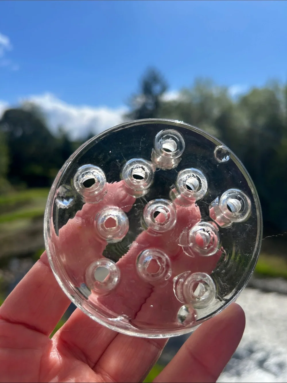 Clear Glass Flower Frog Vase Insert 11 Holes